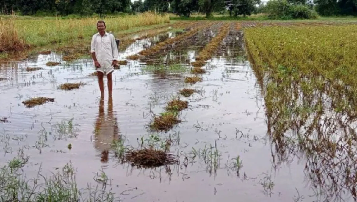 महाराष्ट्रात पावसाचा कहर! 8.5 लाख हेक्टर पिके उद्ध्वस्त, 10 जणांचा मृत्यू, पंचनामे कधी होणार?