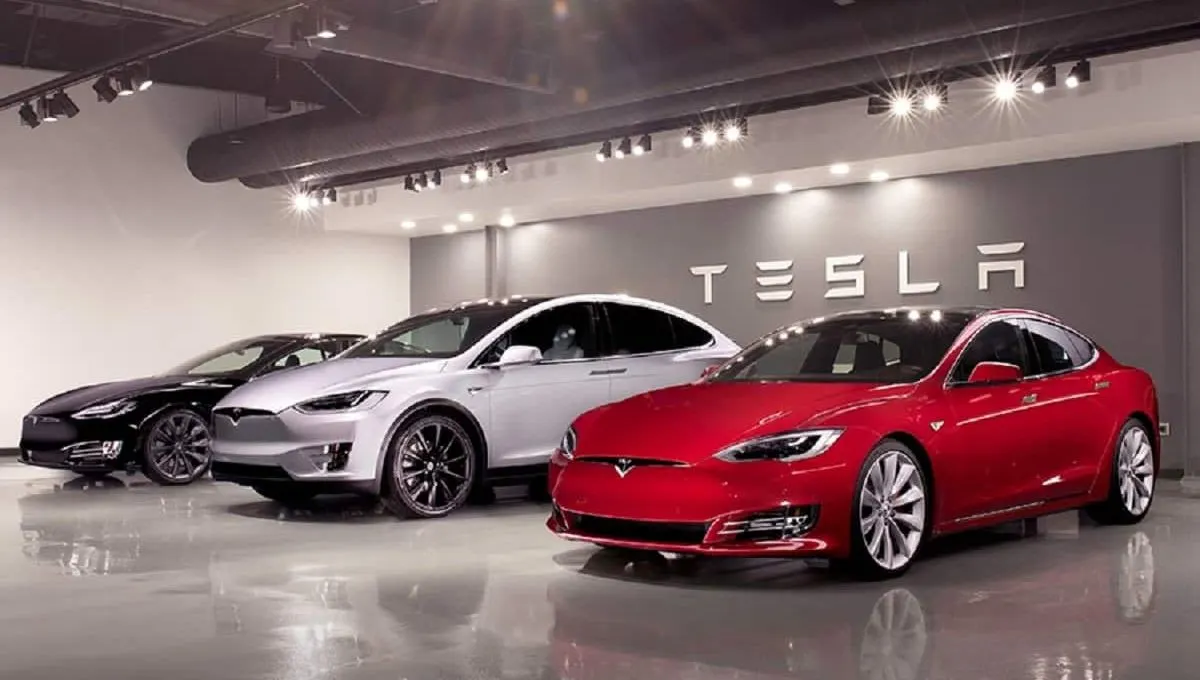 एलोन मस्कची दिल्लीत एन्ट्री! टेस्ला शोरूमचा शुभारंभ, इलेक्ट्रिक भविष्य जवळ येणार?