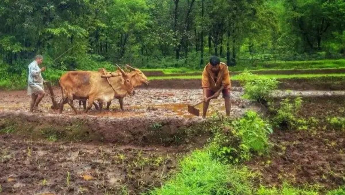 Shet bandh Kayda: शेजारील शेतकऱ्याच्या बांधाला हात लावू नका! कायदा काय सांगतो, जाणून घ्या!