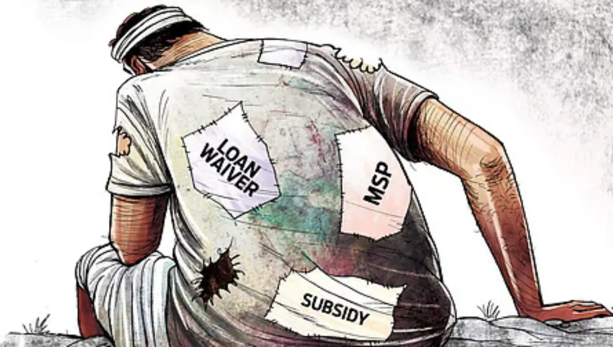 शेतकऱ्यांवर बँकांचा दबाव! 19 जिल्ह्यांत नोटिसा, कर्जमाफीचा निर्णय कुठे?