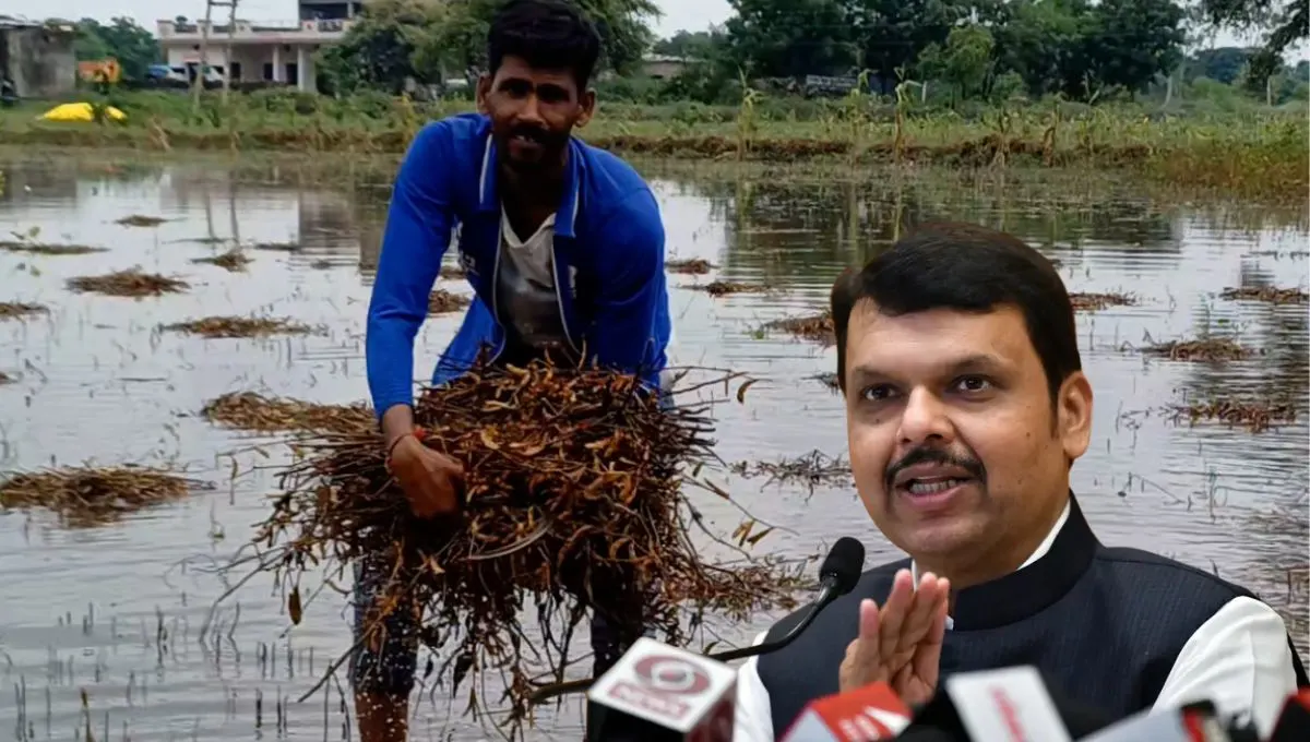 अतिवृष्टी आणि पूर: 368 कोटींची मदत, शेतकऱ्यांना कधी मिळणार अनुदान?