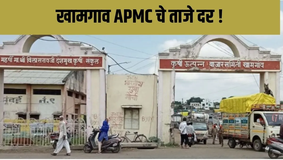 APMC Market Rates Today